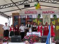 Művelődés szervezők